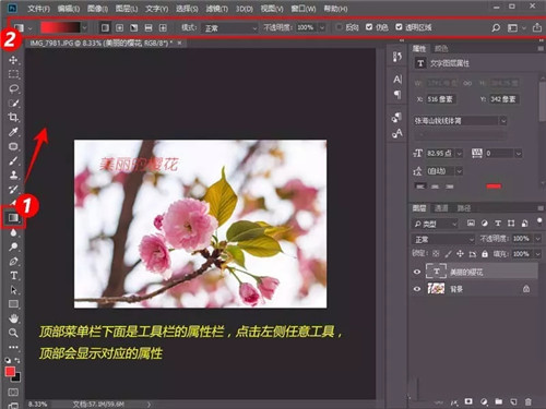 Adobe Photoshop绿色版免费下载