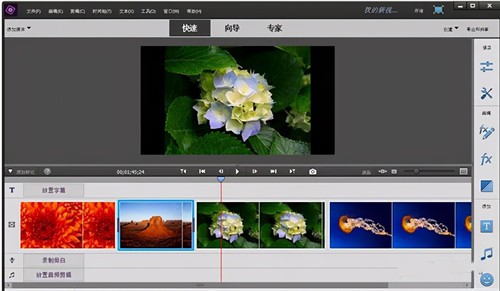 Premiere Elements2022��ɫ������