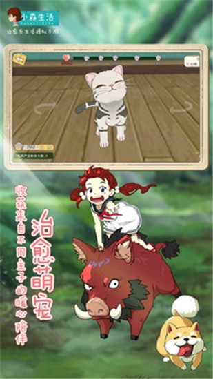 Сɭ����������ʯ������������