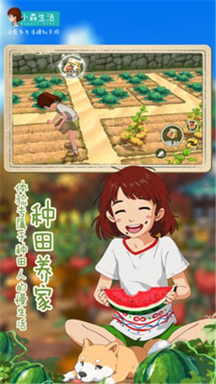 Сɭ����������ʯ������������