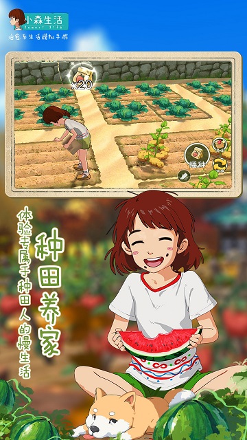 小森生活台服官方下载