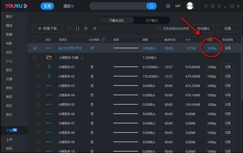 �ſ��������������