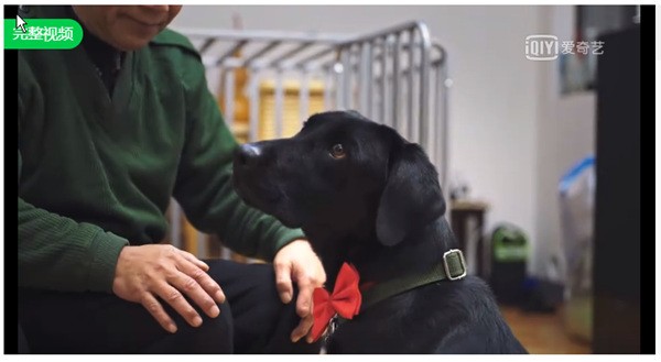 �����տͻ��˹ٷ�����