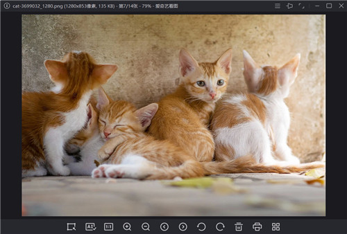 爱奇艺看图官方最新版下载