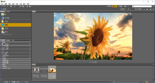 Adobe bridge 2024下载