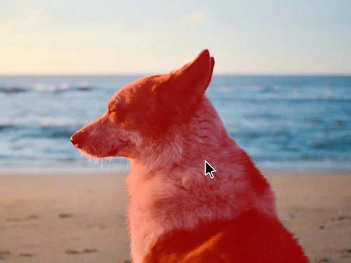 lightroom��ɫ��2024����