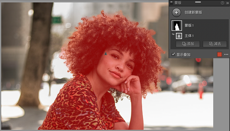 lightroom classic 2024����ֱװ��ɫ��