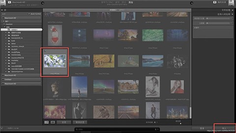 lightroom��ɫ��2024����
