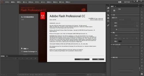 adobe flash��ɫ������