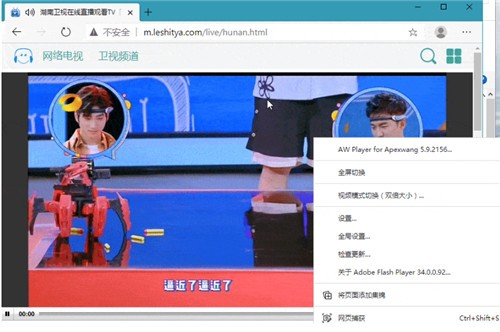 Adobe Flash Player PPAPI��ɫ�ر��