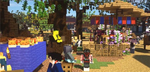 �����ҵ�������԰�����