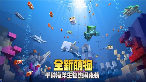 �ҵ�������԰�������