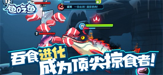 �����������ʯȫ��������������