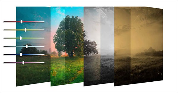 coreldraw2022������ɫ�汾