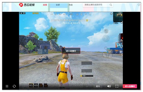 ������Ƶ���ذ�װ���԰�