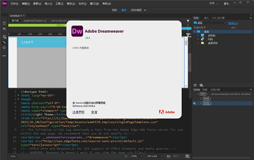 dw2021��ɫ�⼤����