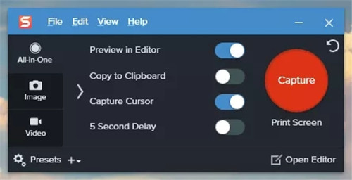 snagit��ɫ������