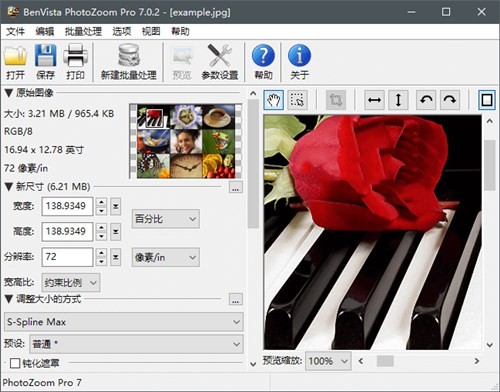 PhotoZoom��ɫרҵ������