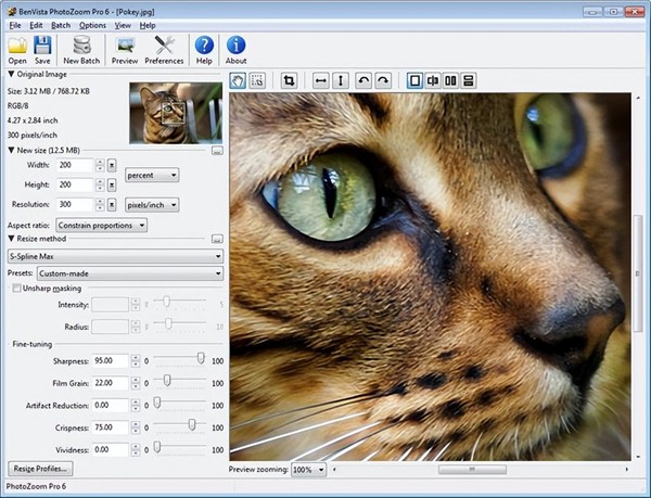 benvista photozoom pro8�ƽ�רҵ��