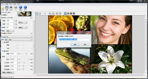 PhotoZoom Classic8��ɫ������