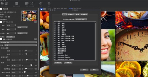PhotoZoom pro for mac�⼤��������