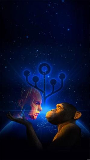 ��ϸ�������2025���°汾