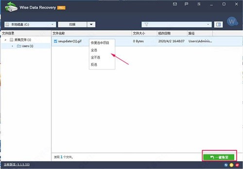 Wise Data Recovery绿色绿色版
