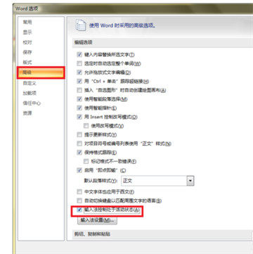 word2007绿色版下载