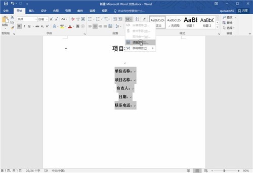 Microsoft Word�ĵ�����