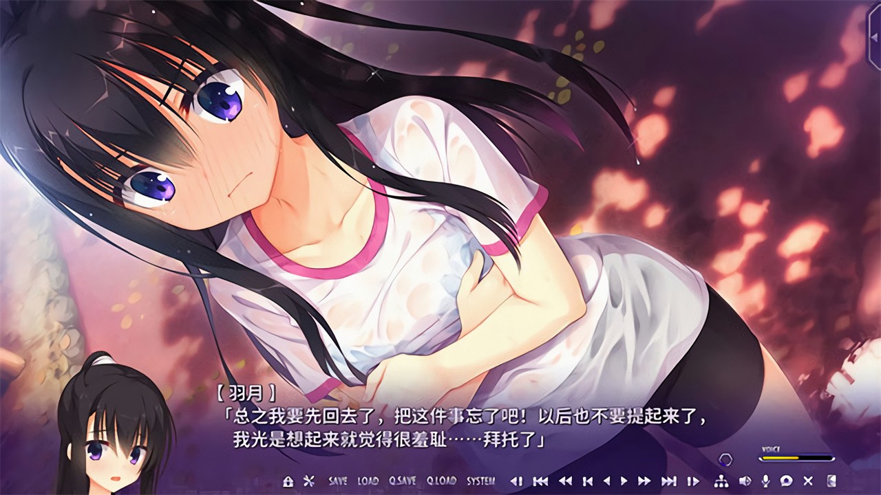 riddle joker手机版下载