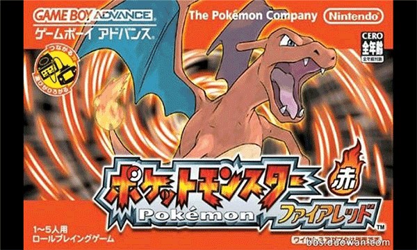 �ڴ����ֻ����չ�����ָ����