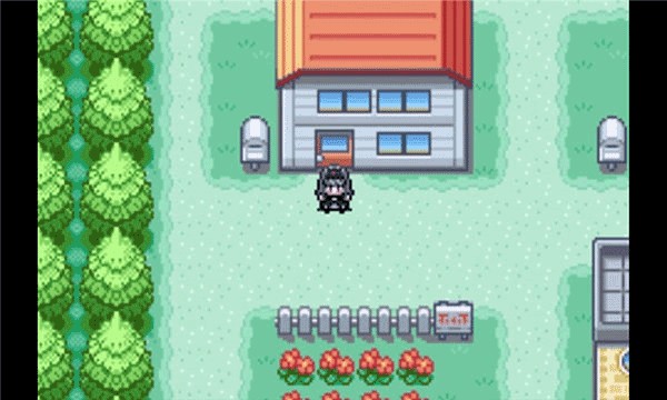 �ڴ����ֻ����չ�����ָ����