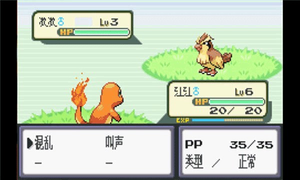 �ڴ����ֻ����չ�����ָ����