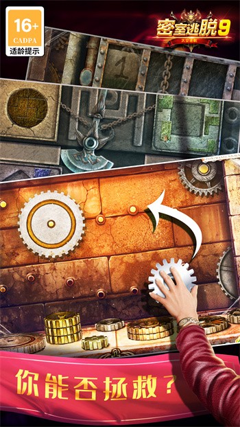 ��������9̫���Ժ���ɫ��