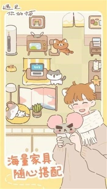 遇见你的猫最新版下载免广告手机版