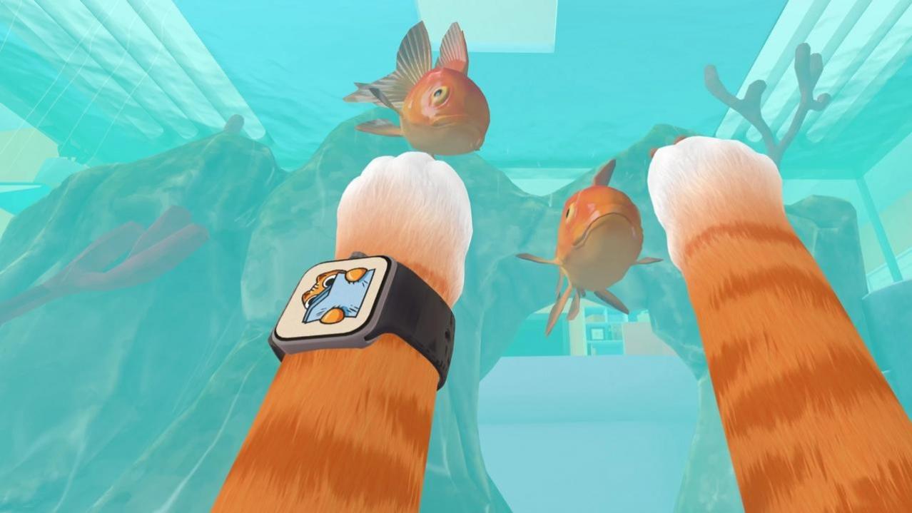 ����è���İ�