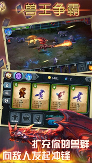 ����������Ѱ�����