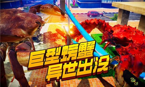 з�����Բ��԰漤����