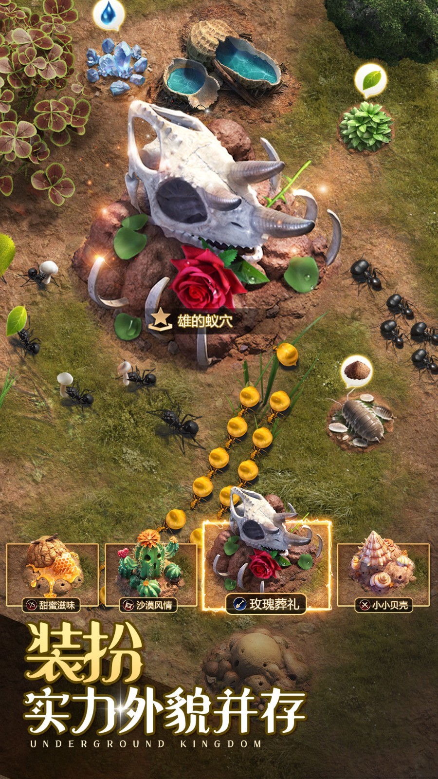 СС�Ϲ����ò˵���ɫ������