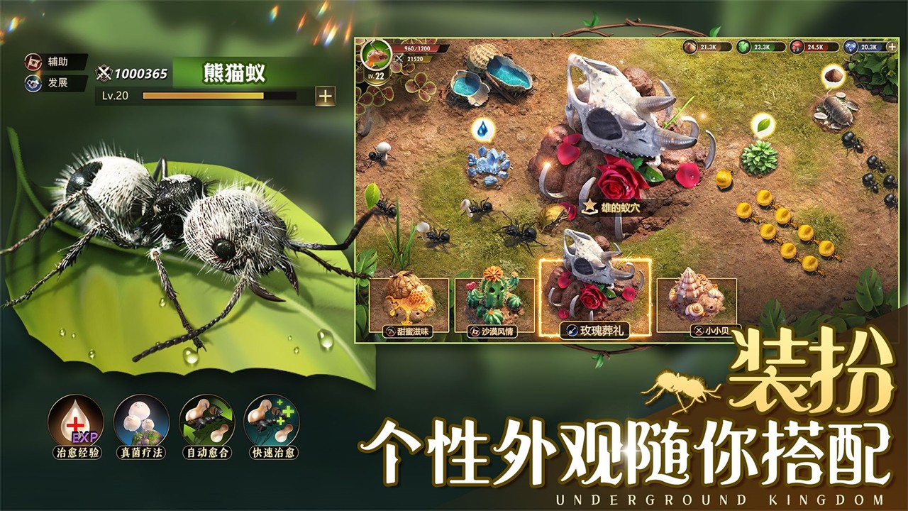 СС�Ϲ��ٷ�37