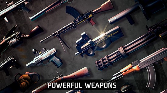 �������1��ɫ��