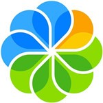 �����Ŷ�������������2021