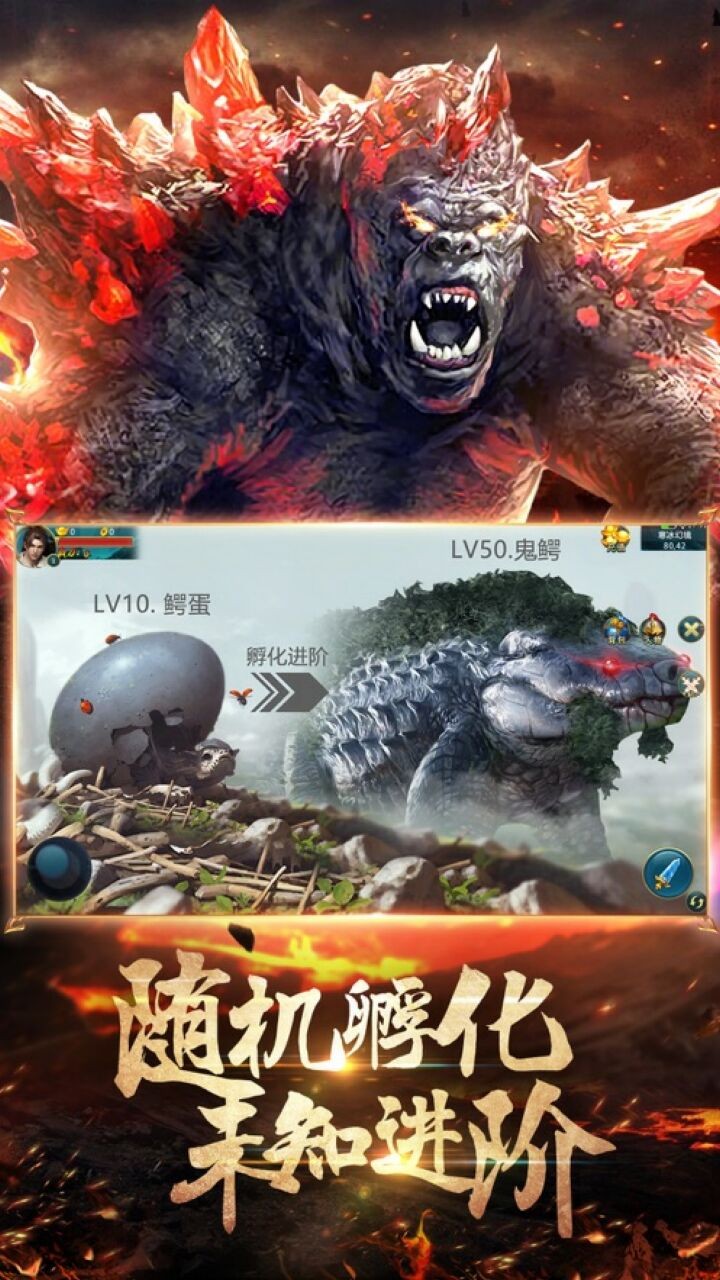 ɽ��������¼����ٷ�������������