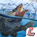 ����������޽������