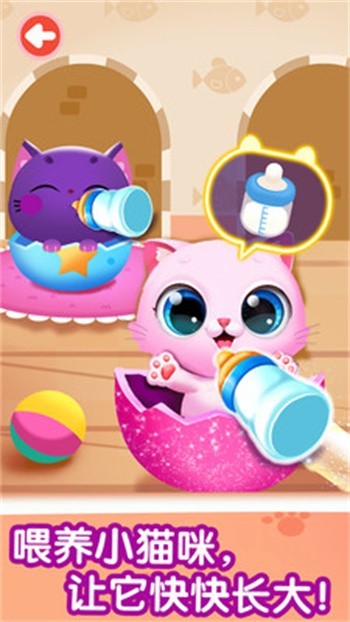 ����è��������ɫ�����ò˵��޹������