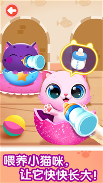 ����è���������޾���ʯ���°����ذ�װ