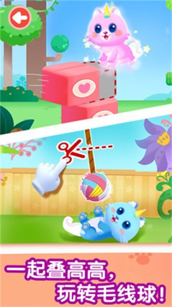 ����è��������ɫ��2024���°�����