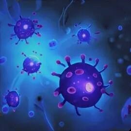 ϸ����������������Դ��