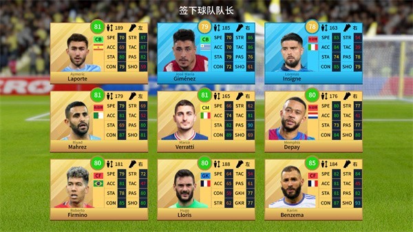 �λ���������2024��ɫ����ȸ�����