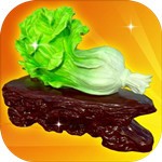 �Ŷ�����������޽��